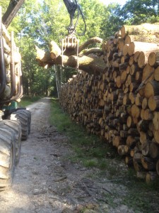 Le porteur termine une pile de 200 stères