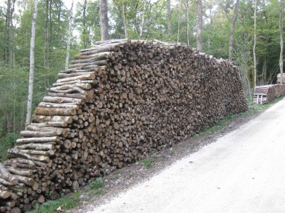 Bois de chauffage Vosges (88)